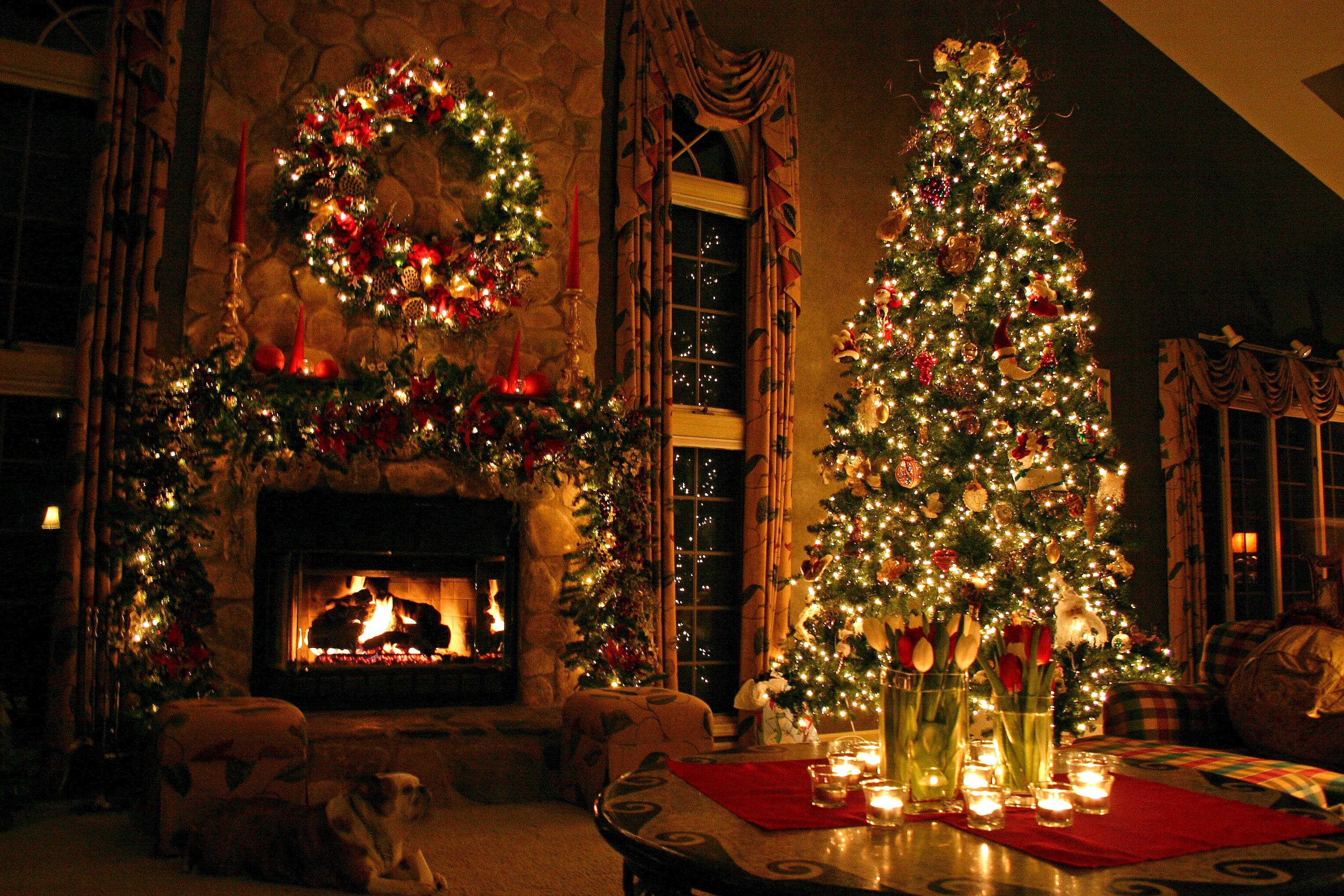 christmas, Tree, Beauty Wallpaper