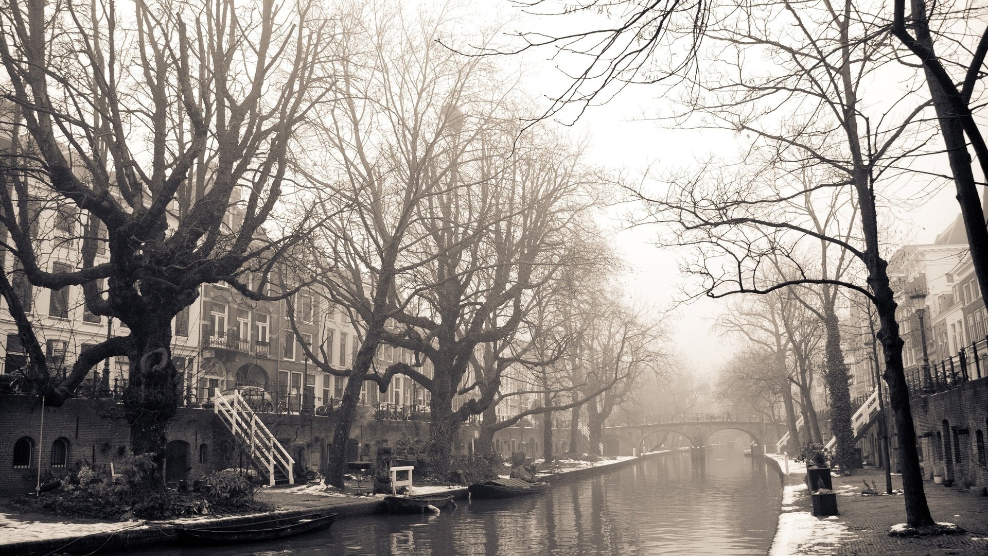 fog, Tree, River, Beauty, Landscape, Winter, Houses Wallpaper