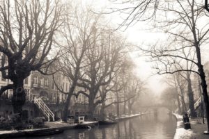 fog, Tree, River, Beauty, Landscape, Winter, Houses