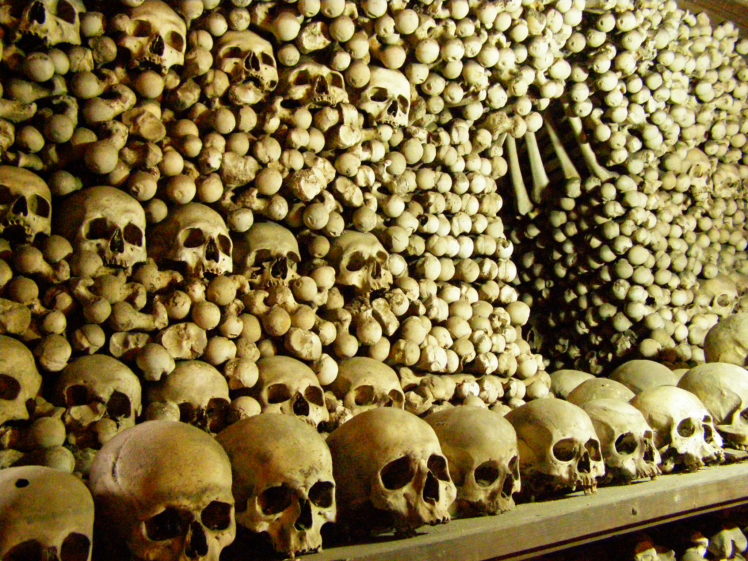 paris, Skulls, Catacombes HD Wallpaper Desktop Background