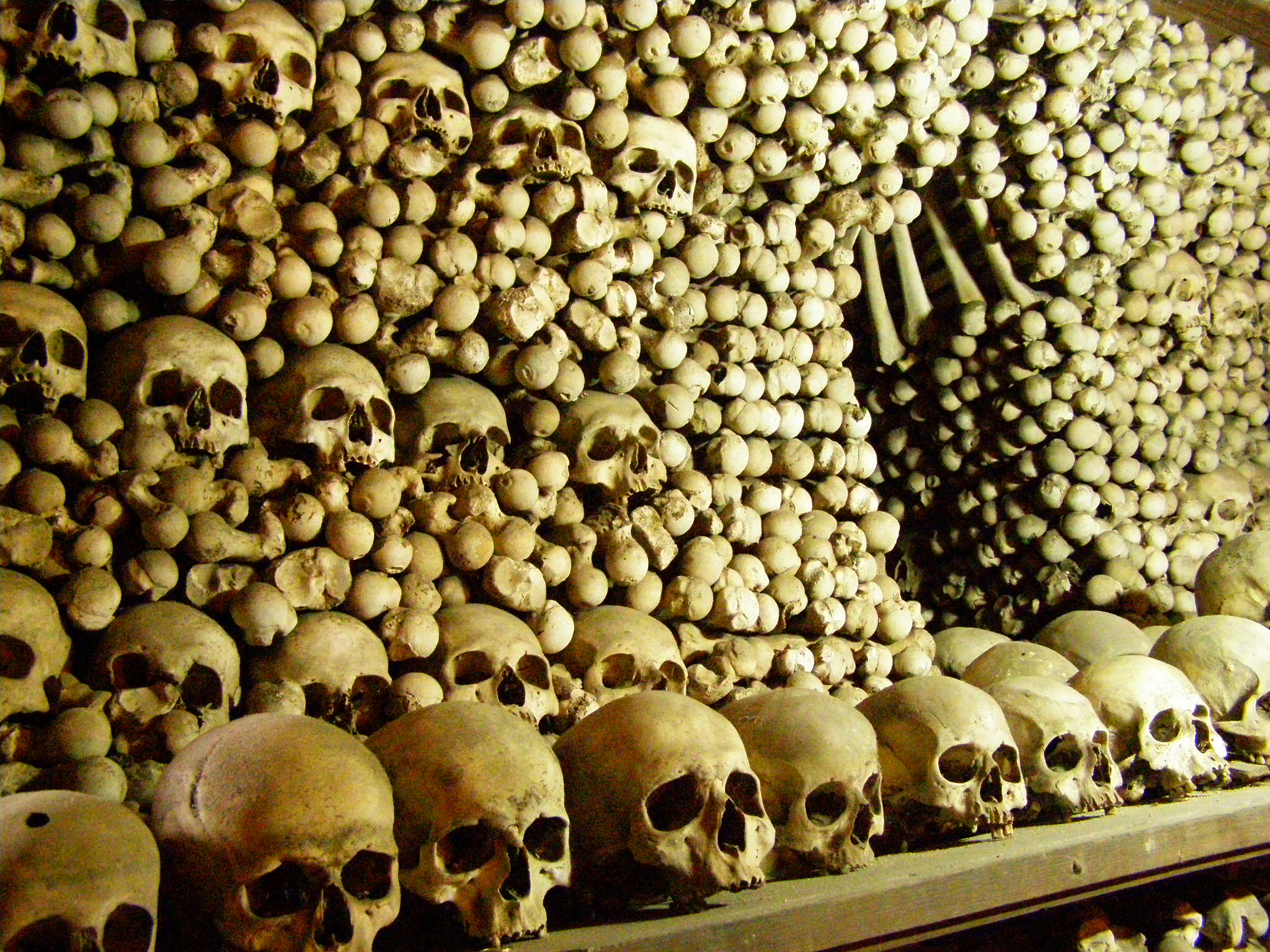 paris, Skulls, Catacombes Wallpaper