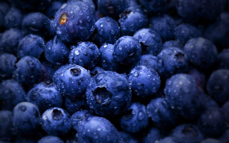 fruits, Water, Drops, Macro, Blueberries HD Wallpaper Desktop Background