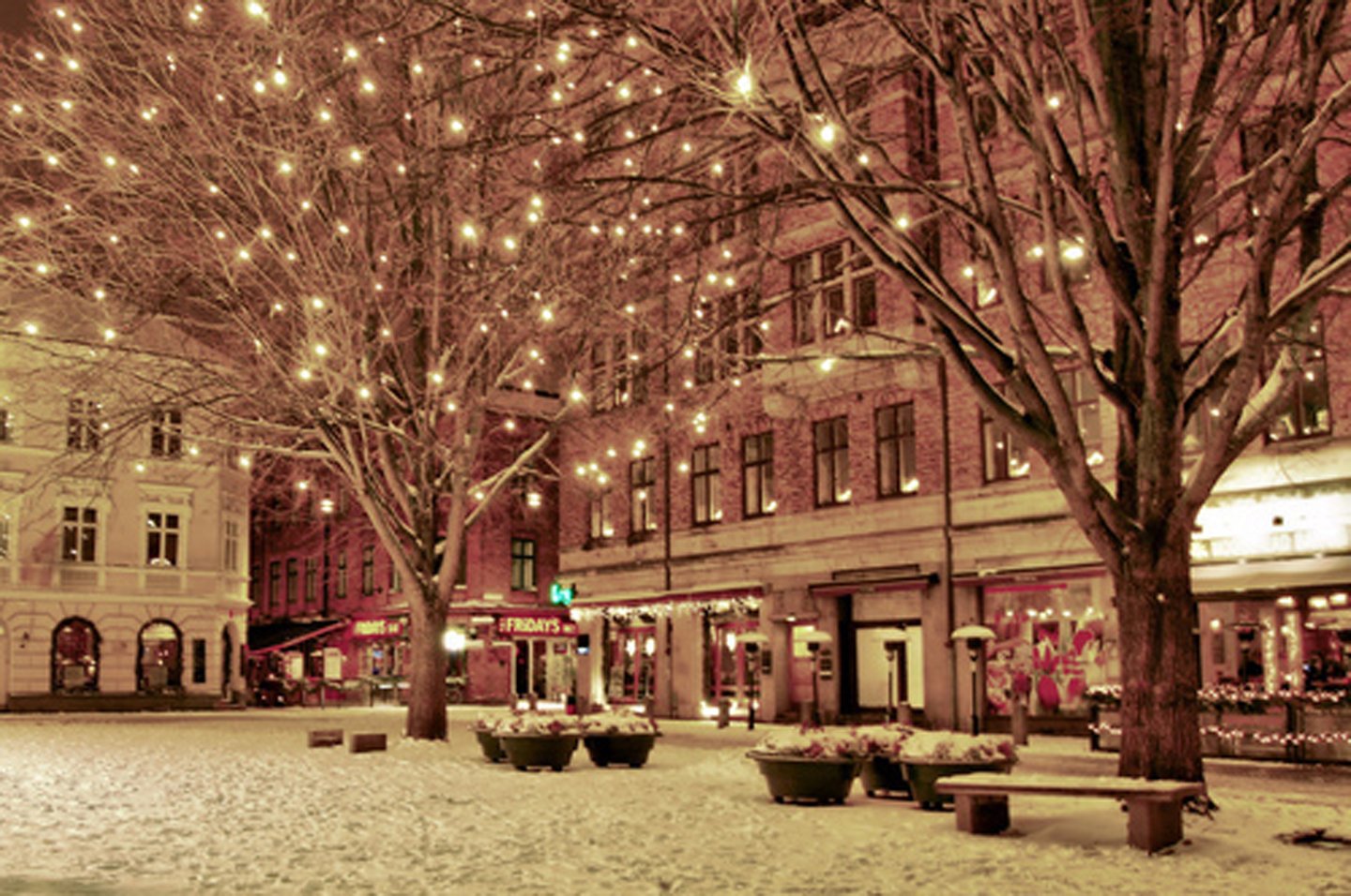 beautiful, Christmas, Tree, Decoration, Light, Snow Wallpaper