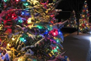 beautiful, Christmas, Tree, Decoration, Light, Snow