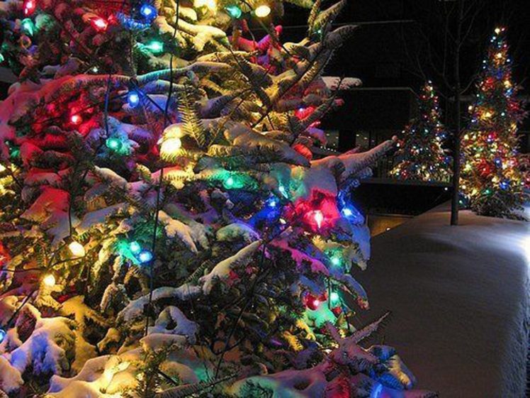beautiful, Christmas, Tree, Decoration, Light, Snow HD Wallpaper Desktop Background
