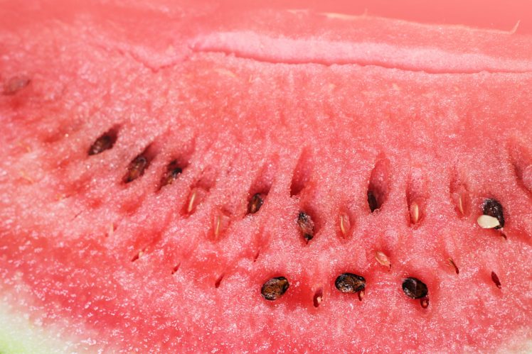 watermelon, Fruit, Tasty, Delicious, Ripe, Macro HD Wallpaper Desktop Background