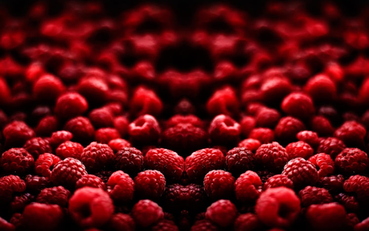 valley, Of, Raspberries HD Wallpaper Desktop Background