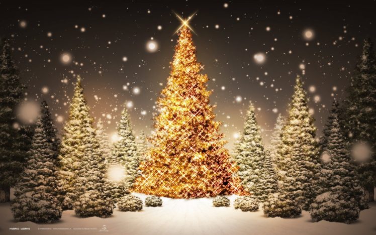 arbol, Navidad, Estrellas, Luces, Adornos HD Wallpaper Desktop Background