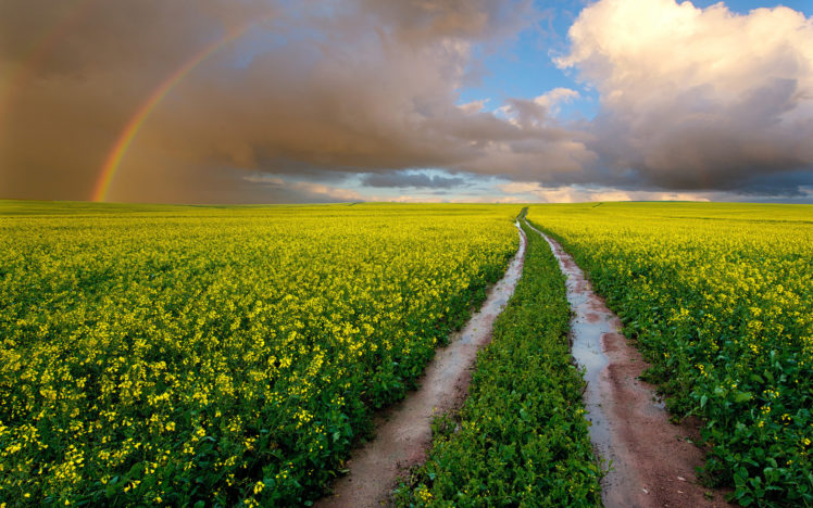 landscape, Flowers, Rainbow, Rainbows, Sky, Clouds HD Wallpaper Desktop Background