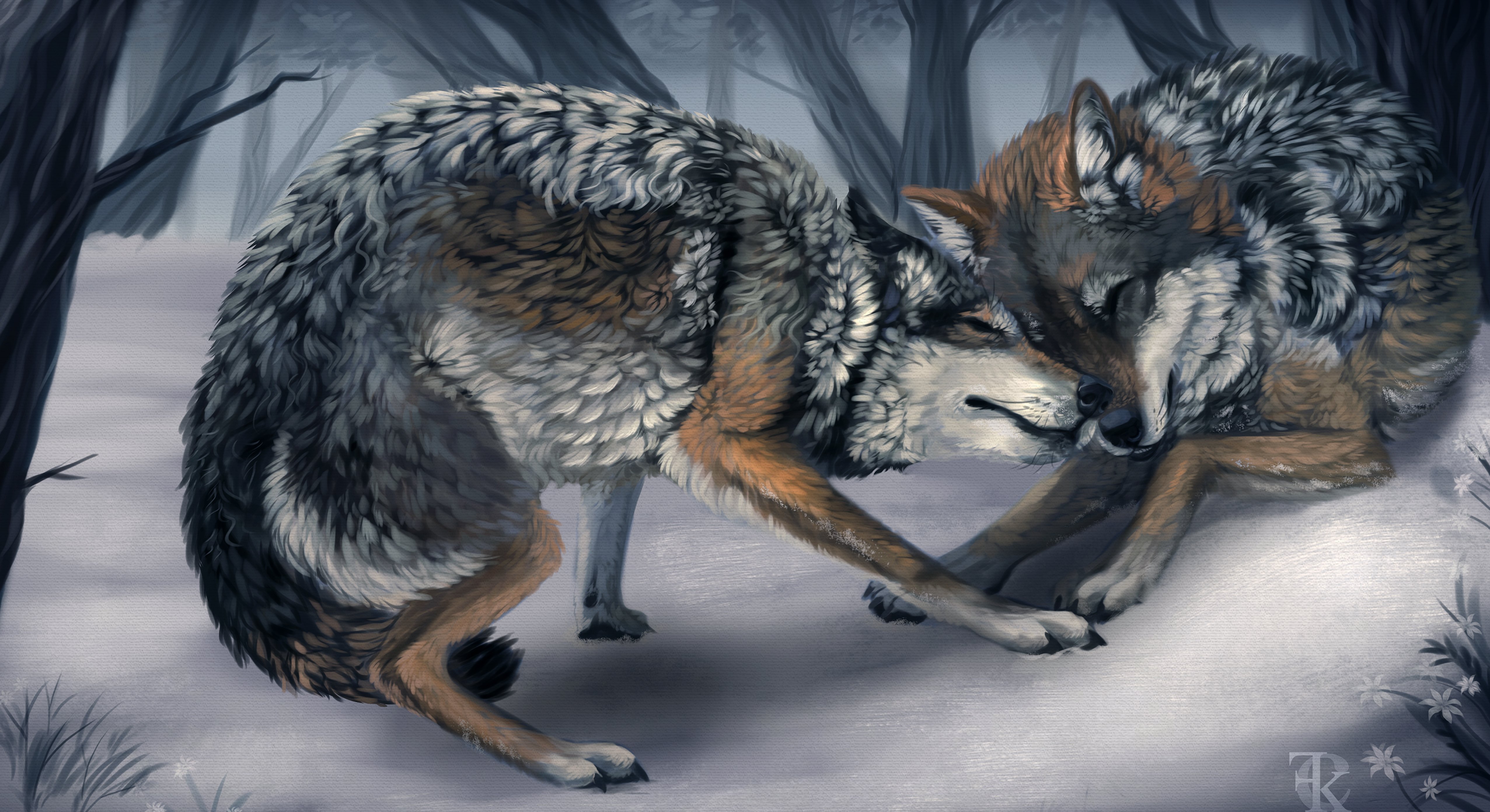 winter, Snow, Landscape, Nature, Wolf, Wolves Wallpaper