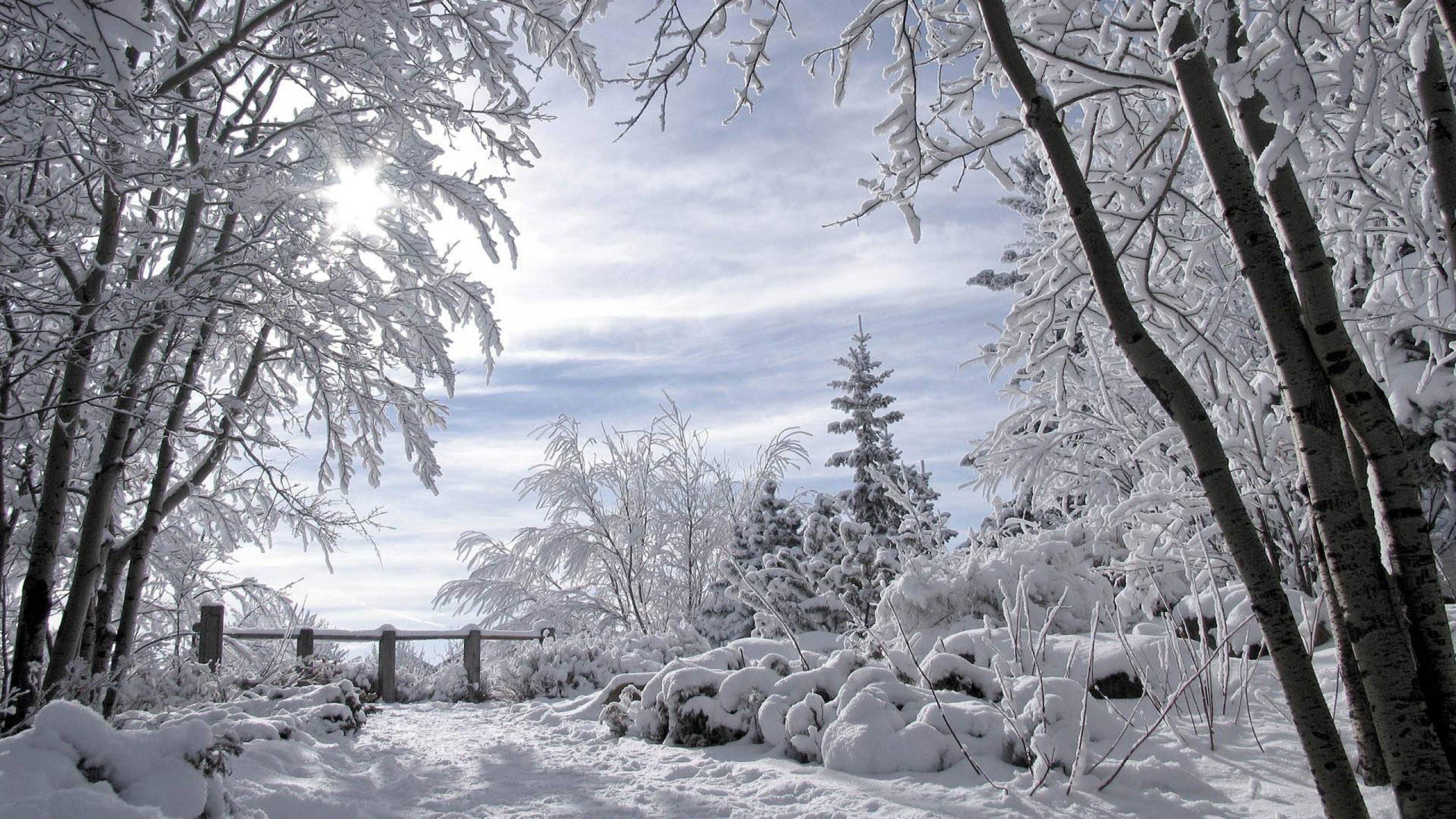 winter, Snow, Landscape, Nature Wallpaper