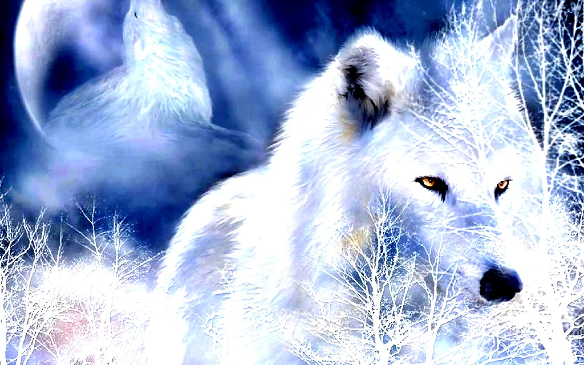 winter, Snow, Landscape, Nature, Wolf, Wolves Wallpaper