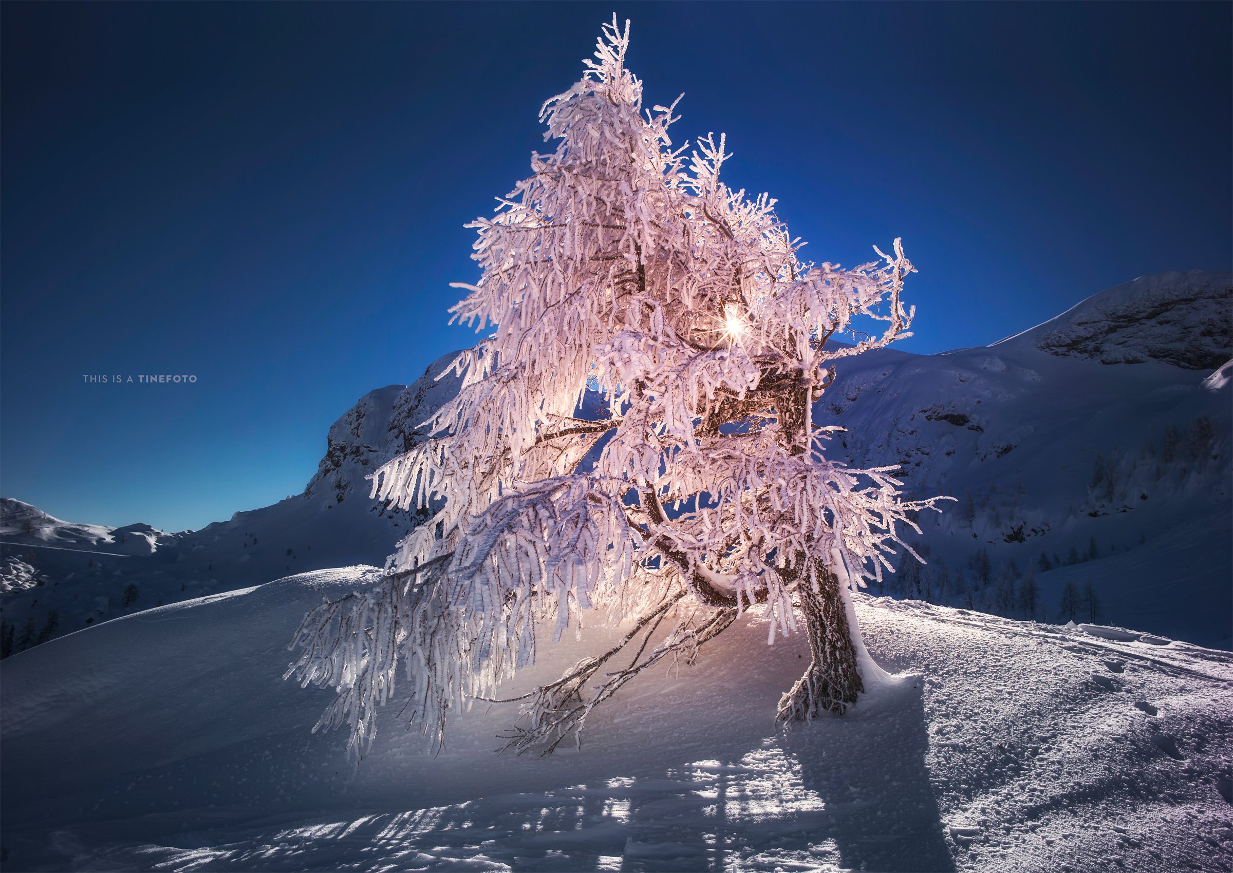winter, Snow, Landscape, Nature Wallpapers HD / Desktop and Mobile