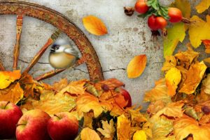 autumn, Fall, Landscape, Nature, Tree, Forest, Leaf, Leaves, Thanksgiving, Apple, Fruit