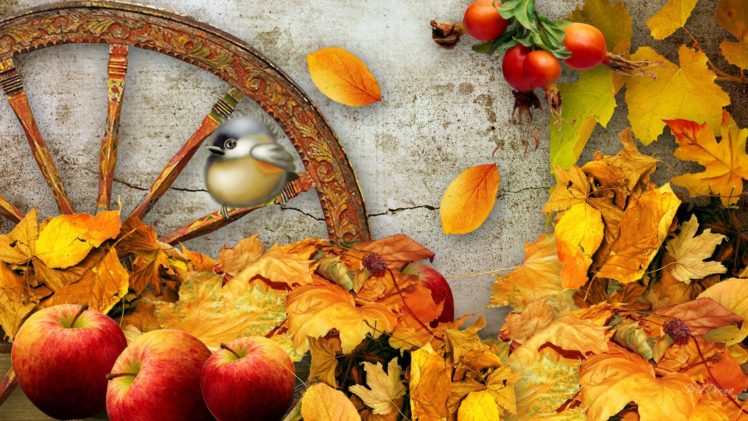 autumn, Fall, Landscape, Nature, Tree, Forest, Leaf, Leaves, Thanksgiving, Apple, Fruit HD Wallpaper Desktop Background