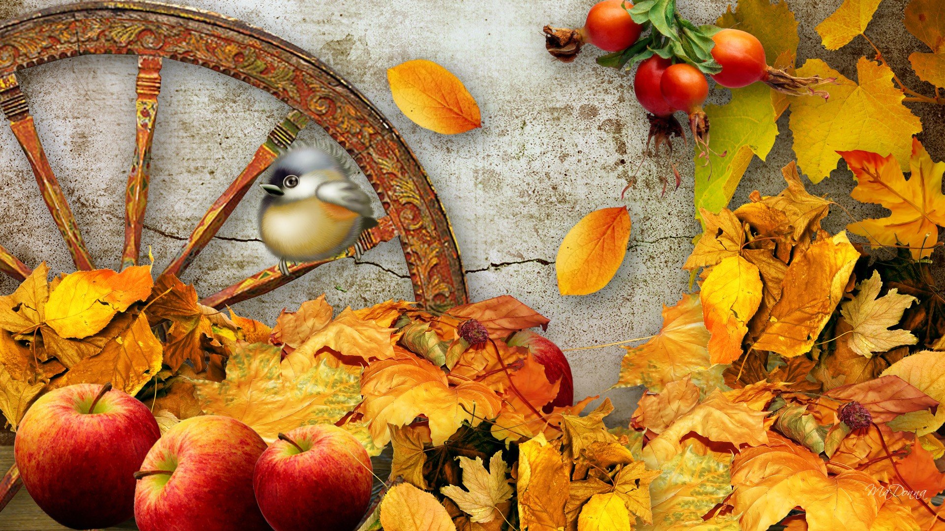 autumn, Fall, Landscape, Nature, Tree, Forest, Leaf, Leaves, Thanksgiving, Apple, Fruit Wallpaper