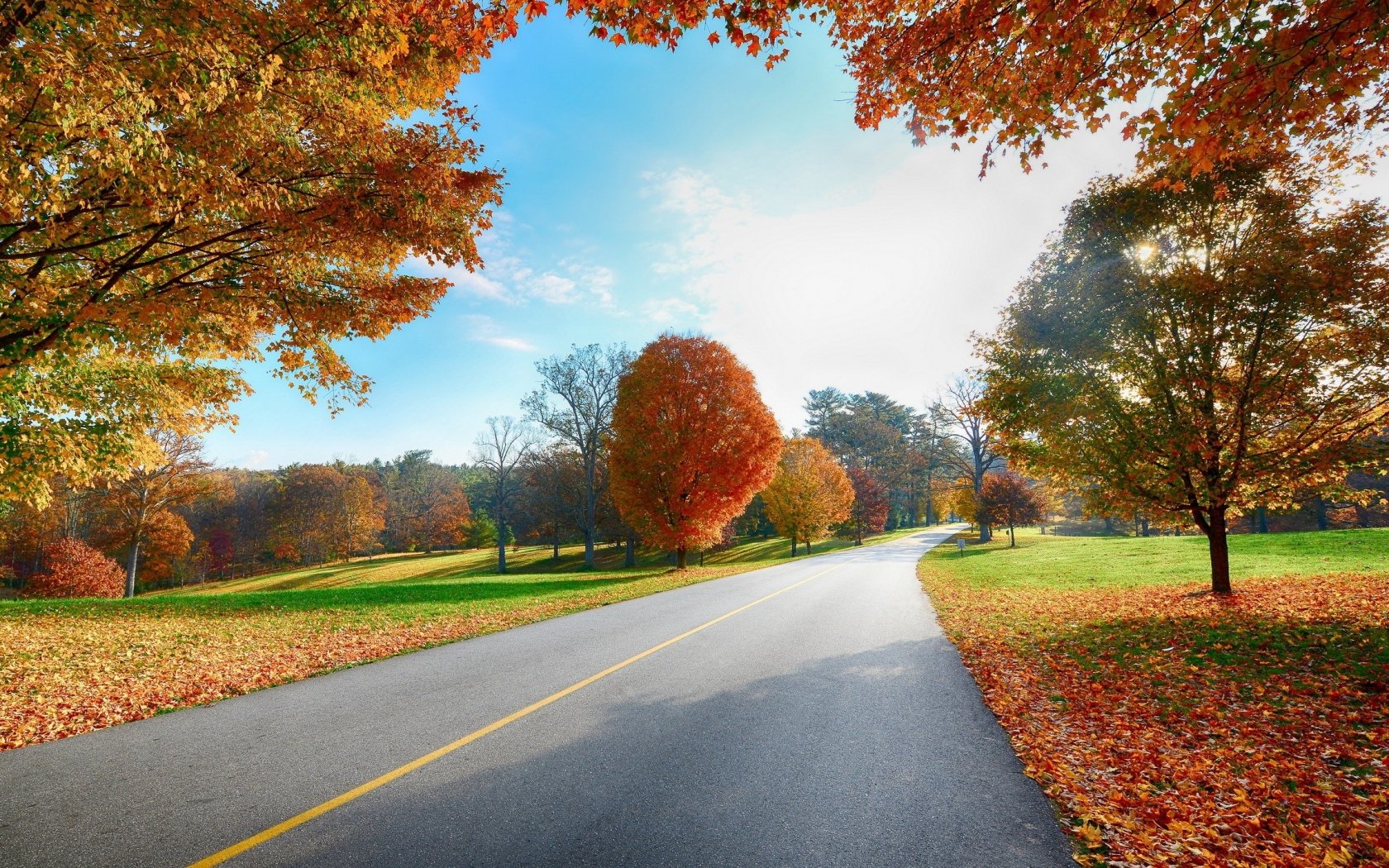 autumn, Fall, Landscape, Nature, Tree, Forest, Leaf, Leaves, Path, Trail, Road Wallpaper