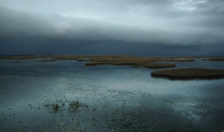 storm, Weather, Rain, Sky, Clouds, Nature, Birds, Duck, Landscape, Lake, River HD Wallpaper Desktop Background
