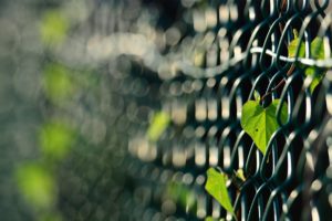 fences, Leaves, Macro, Depth, Of, Field, Chain, Link, Fence