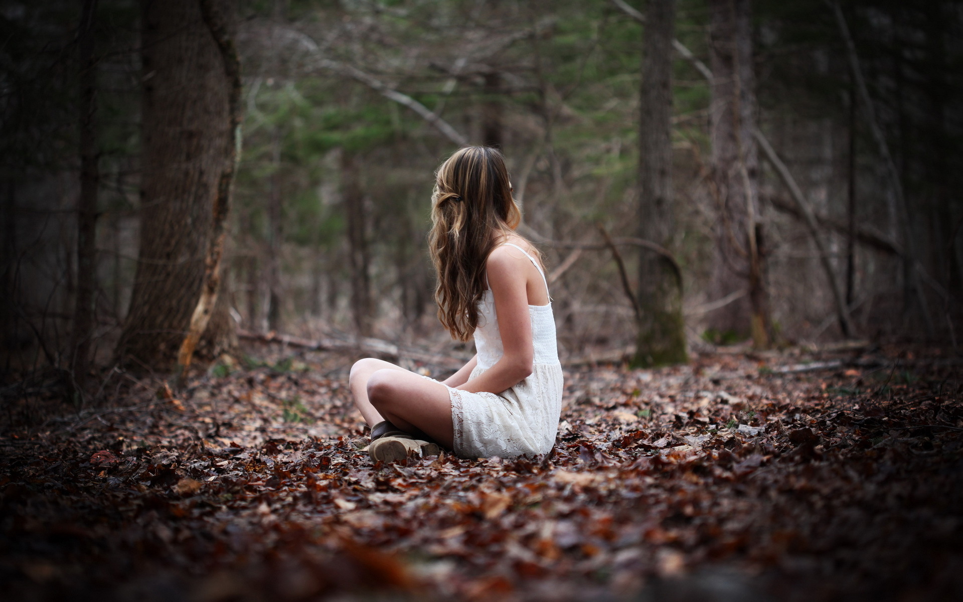 Girl Girls Mood Bokeh Brunette Brunettes Leaves Woods Forest Wallpapers Hd Desktop And 8845