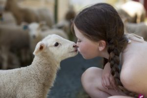 child, Sheep, Lamb, Kissing, Affection, Feeling, Animal, Love, Mood