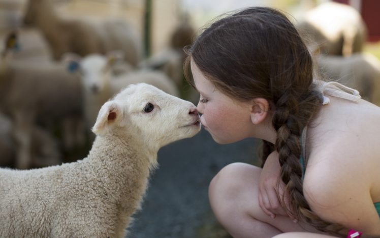 child, Sheep, Lamb, Kissing, Affection, Feeling, Animal, Love, Mood HD Wallpaper Desktop Background