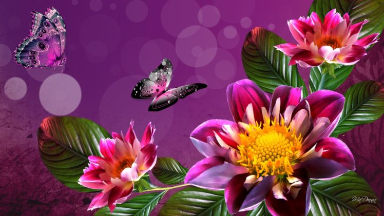 dahlia, Butterfly, Digita HD Wallpaper Desktop Background