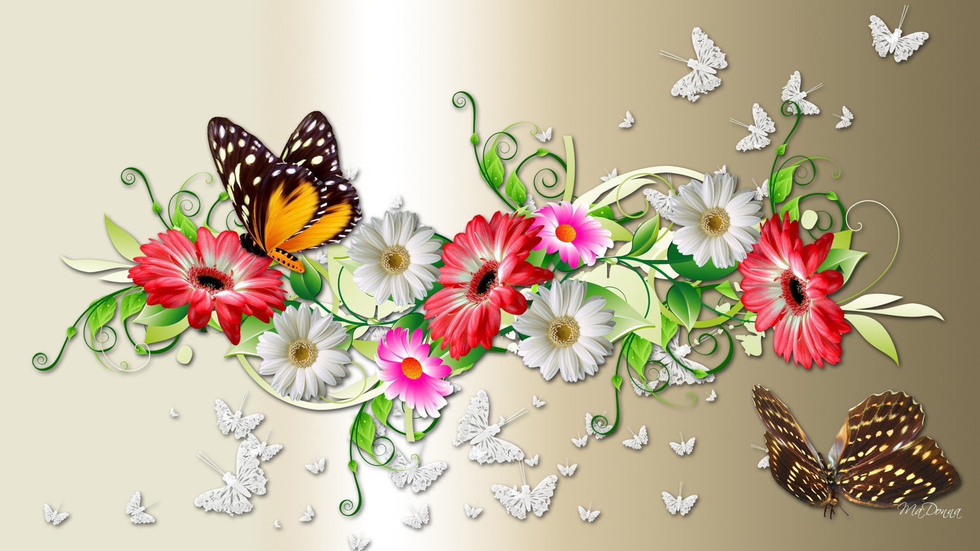 butterflies, Flowers, Colors, Decorations Wallpaper