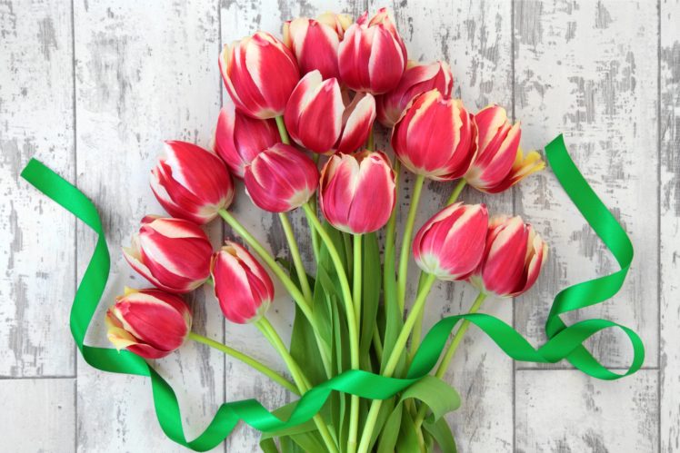 flowers, Tulips, Flowers, Tulips, Bouquet, Fresh HD Wallpaper Desktop Background