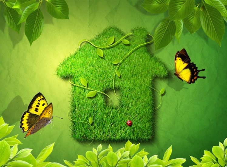 herbal, House, Leaves, Butterfly, Ladybug HD Wallpaper Desktop Background