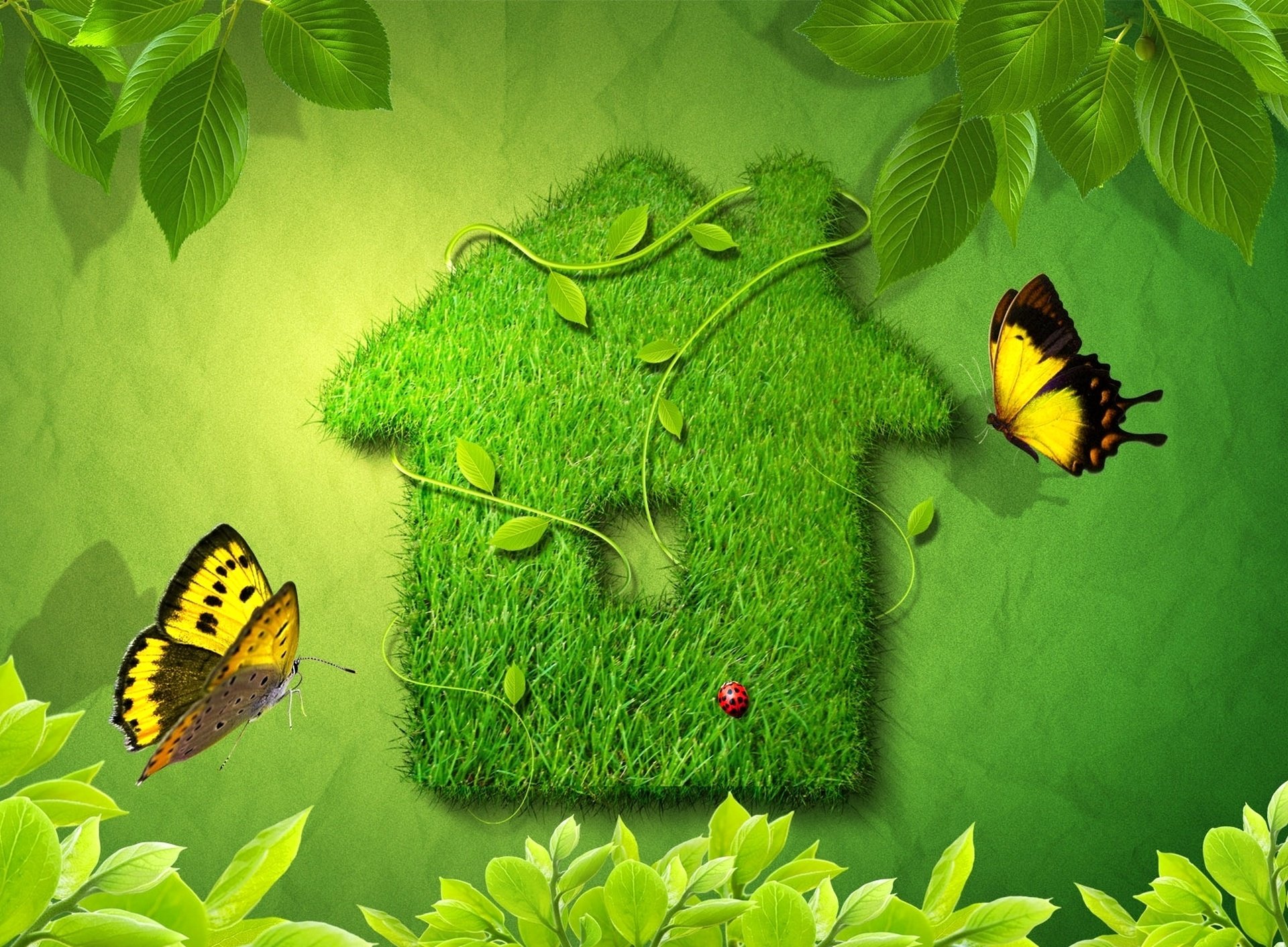 herbal, House, Leaves, Butterfly, Ladybug Wallpaper