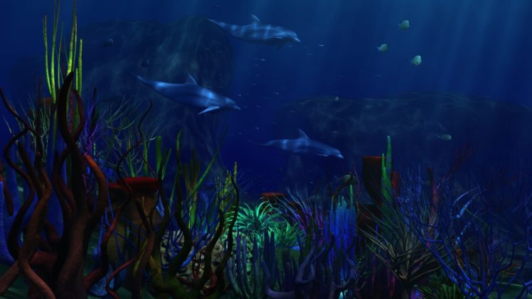 underwater, World, Dolphin HD Wallpaper Desktop Background