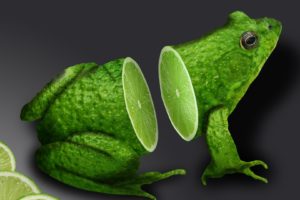 abstraction, Abstract, 3d, Graphics, Frog, Fruit, Lime