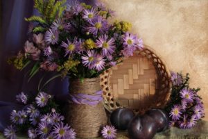 fruit, Basket, Flower, Nature, Beauty