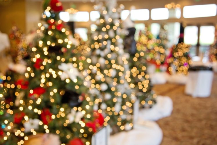 christmas, Tree, Ornament, Light, Beauty HD Wallpaper Desktop Background