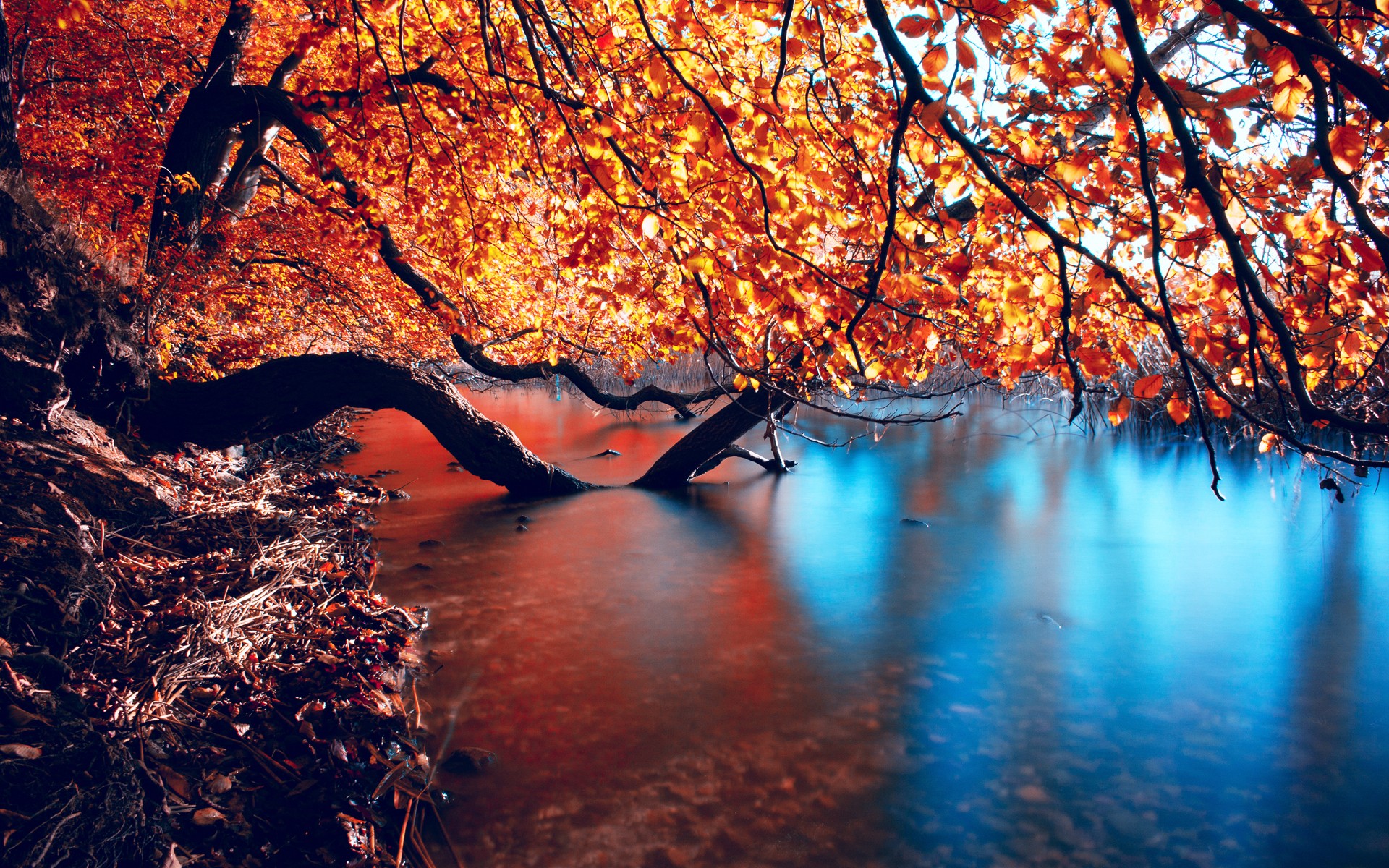 landscapes, Nature, Autumn Wallpaper