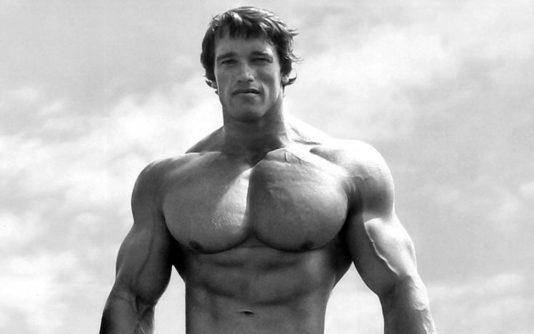 arnold, Schwarzenegger, Fitness, Muscle, Bodybiulding, Body, Men, B w HD Wallpaper Desktop Background