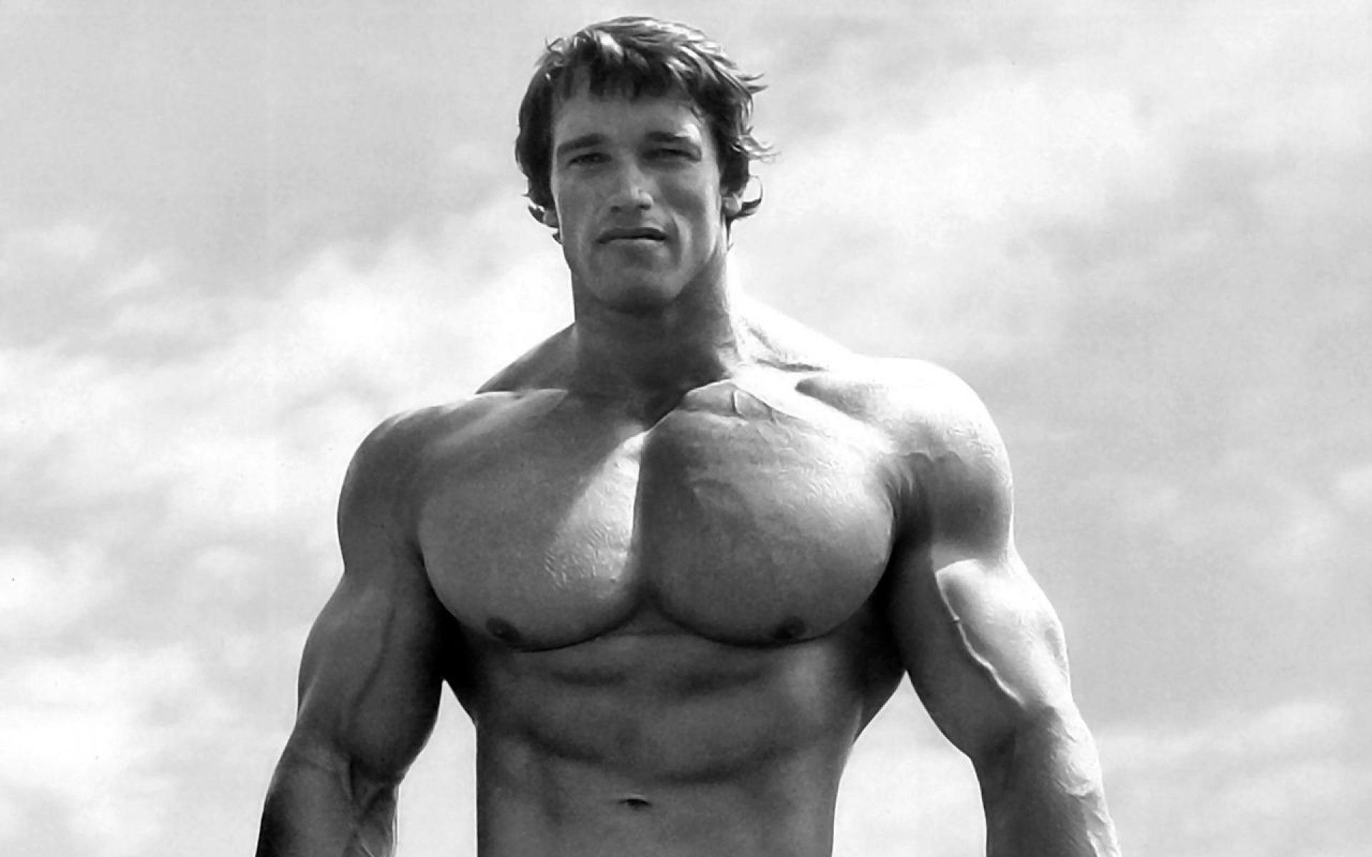 arnold, Schwarzenegger, Fitness, Muscle, Bodybiulding, Body, Men, B w Wallpaper