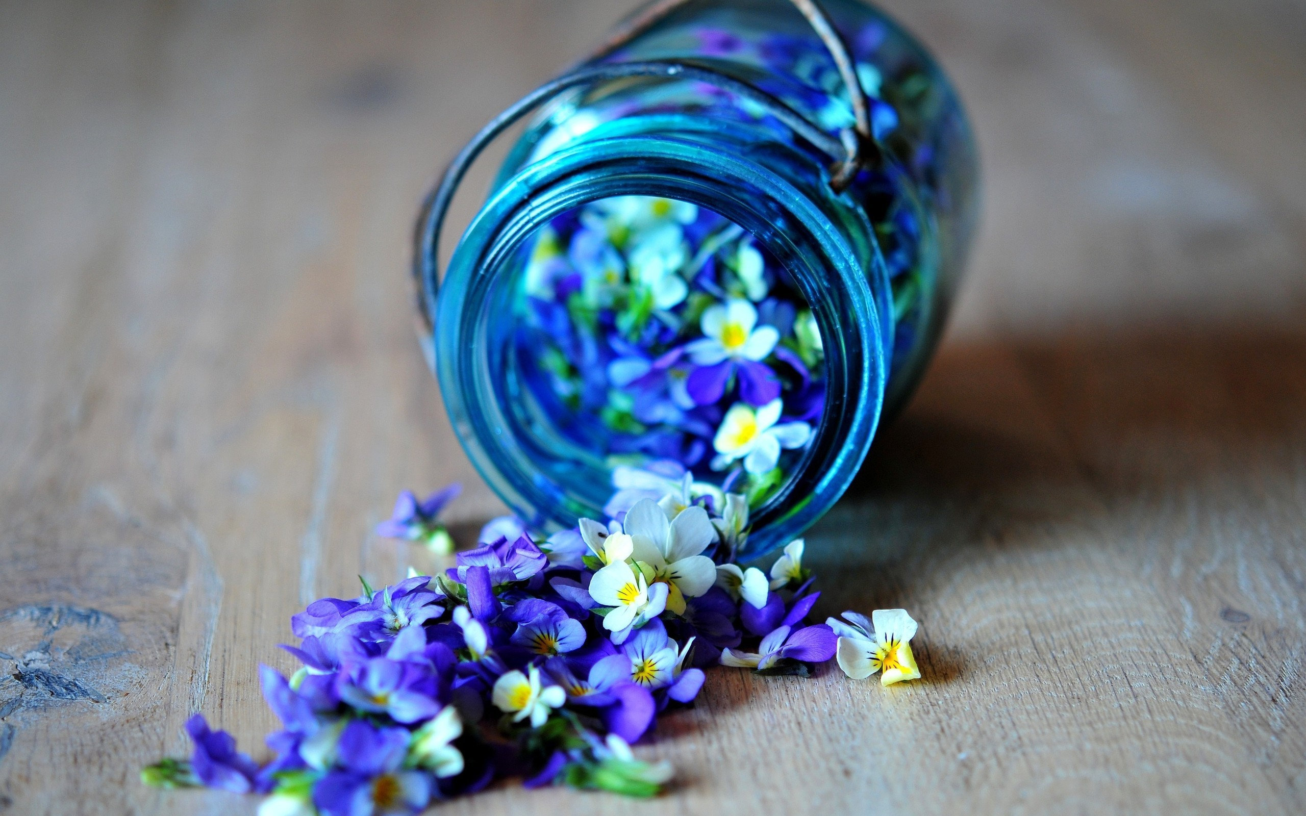 jars, Of, Flowers Wallpaper