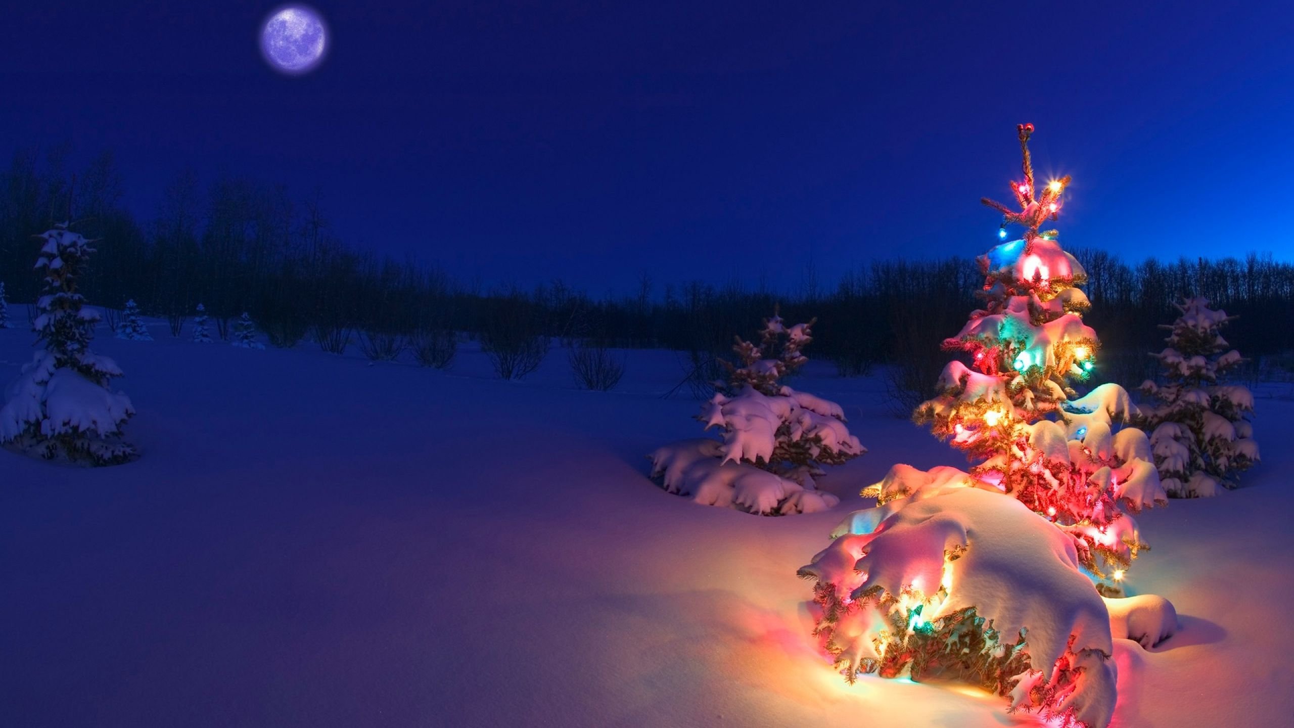 Bạn đang tìm kiếm hình nền Giáng sinh để trang trí cho điện thoại hay máy tính của mình? Hãy ghé thăm trang web của chúng tôi để tải xuống những hình nền đầy màu sắc và âm nhạc Giáng sinh. Chắc chắn rằng bạn sẽ tìm thấy sự ấm áp và hạnh phúc khi chọn một hình nền yêu thích!