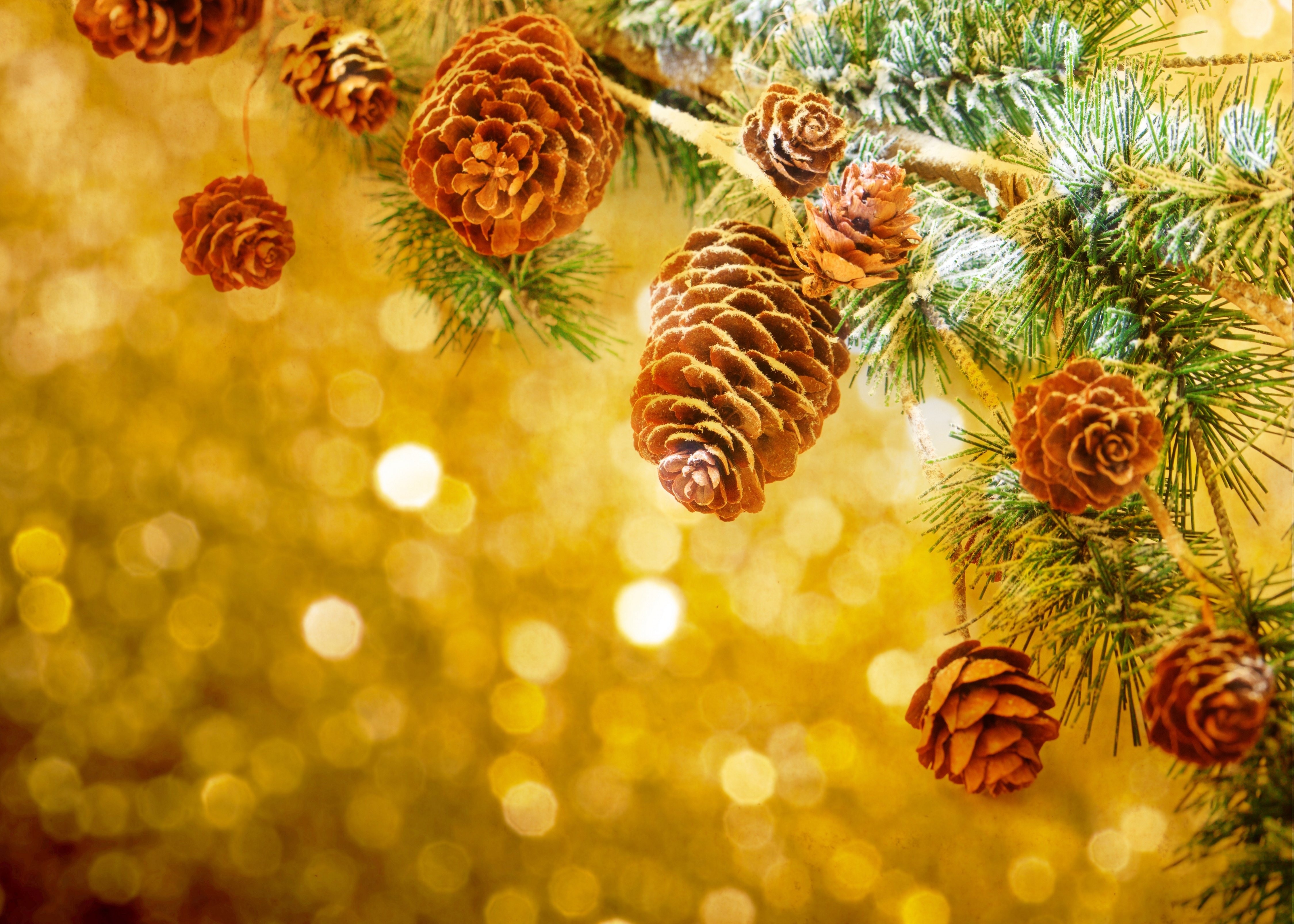 christmas, Holiday, Seasonal, New, Year Wallpaper