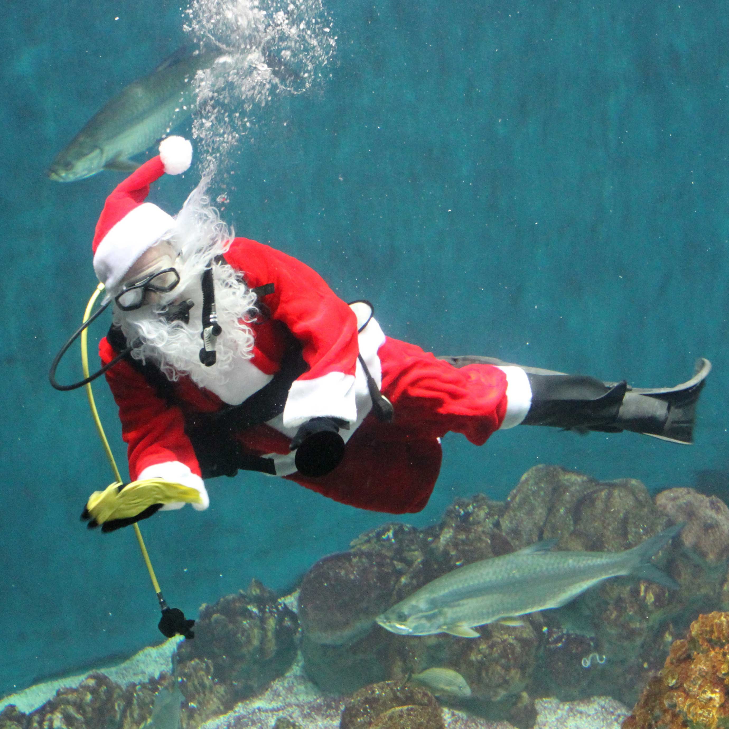 christmas, Holiday, Seasonal, New, Year Wallpaper