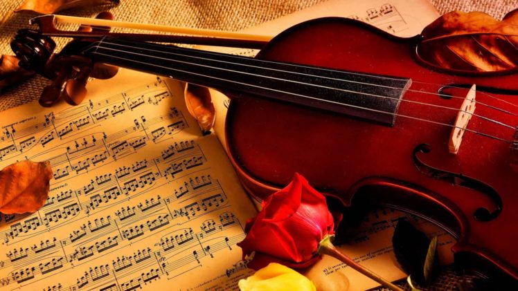 violin, Notes, Rose, Beauty, Music HD Wallpaper Desktop Background