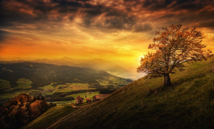 tree, Landscape, Nature, Switzerland, Autumn HD Wallpaper Desktop Background