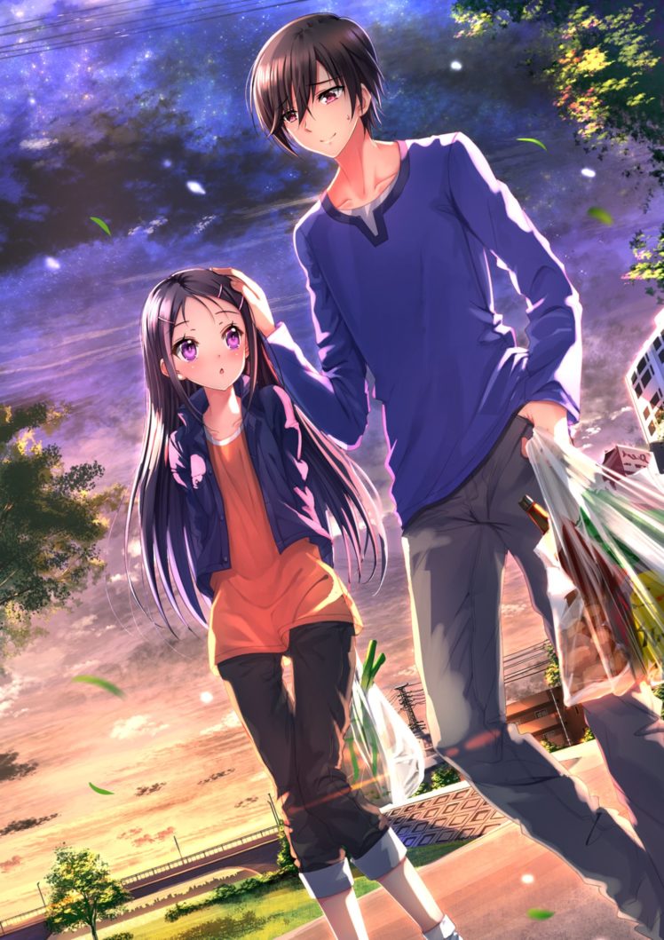 anime, Girl, Charlotte, Anime, Series, Couple, Love, Long, Hair HD Wallpaper Desktop Background