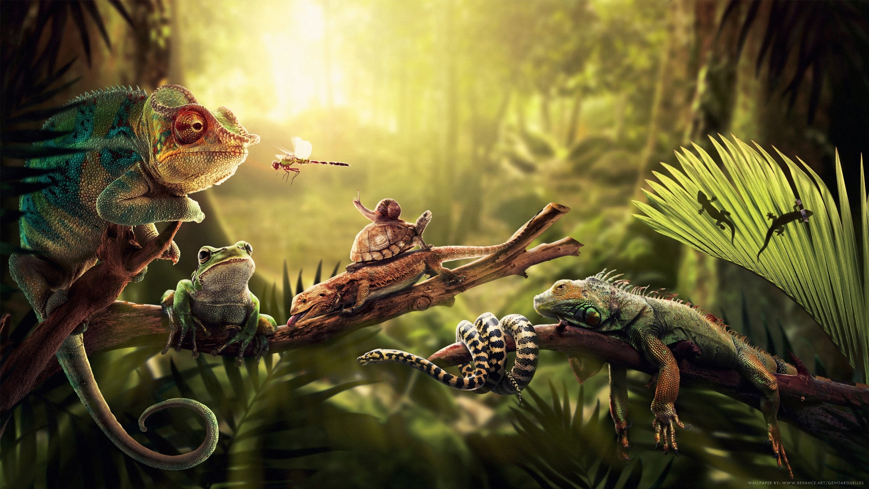 art, Artwork, Photoshop, Manipulation, Fantasy, Photo, Artistic Wallpaper