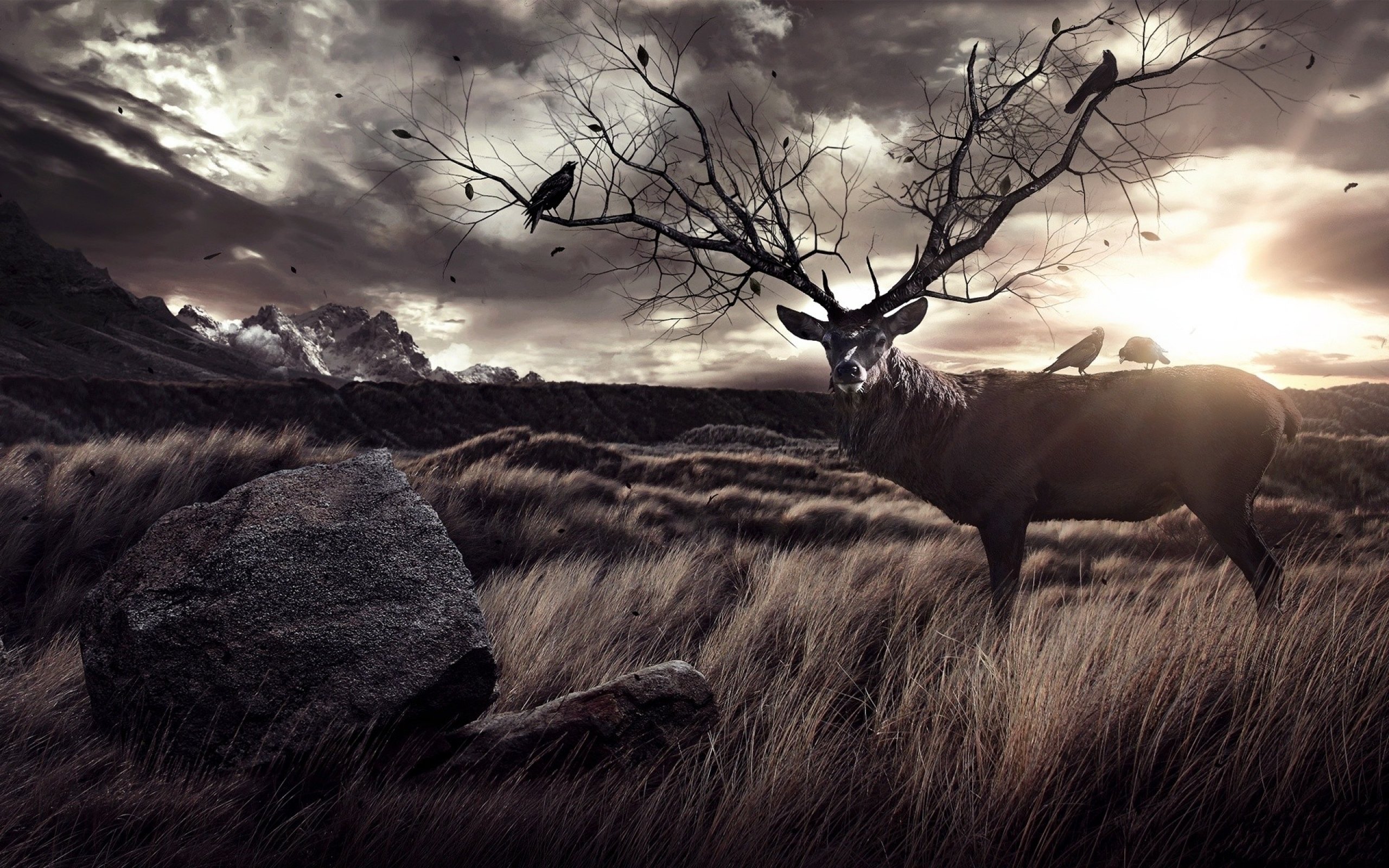 art, Artwork, Photoshop, Manipulation, Fantasy, Photo, Artistic Wallpaper