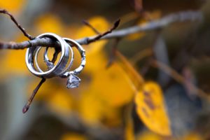 ring, Married, Nature, Love, Mood, Beauty, Tree