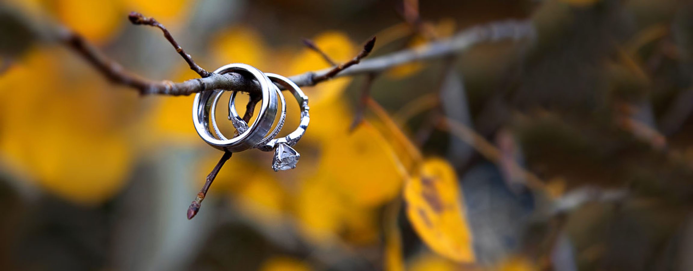 ring, Married, Nature, Love, Mood, Beauty, Tree Wallpaper