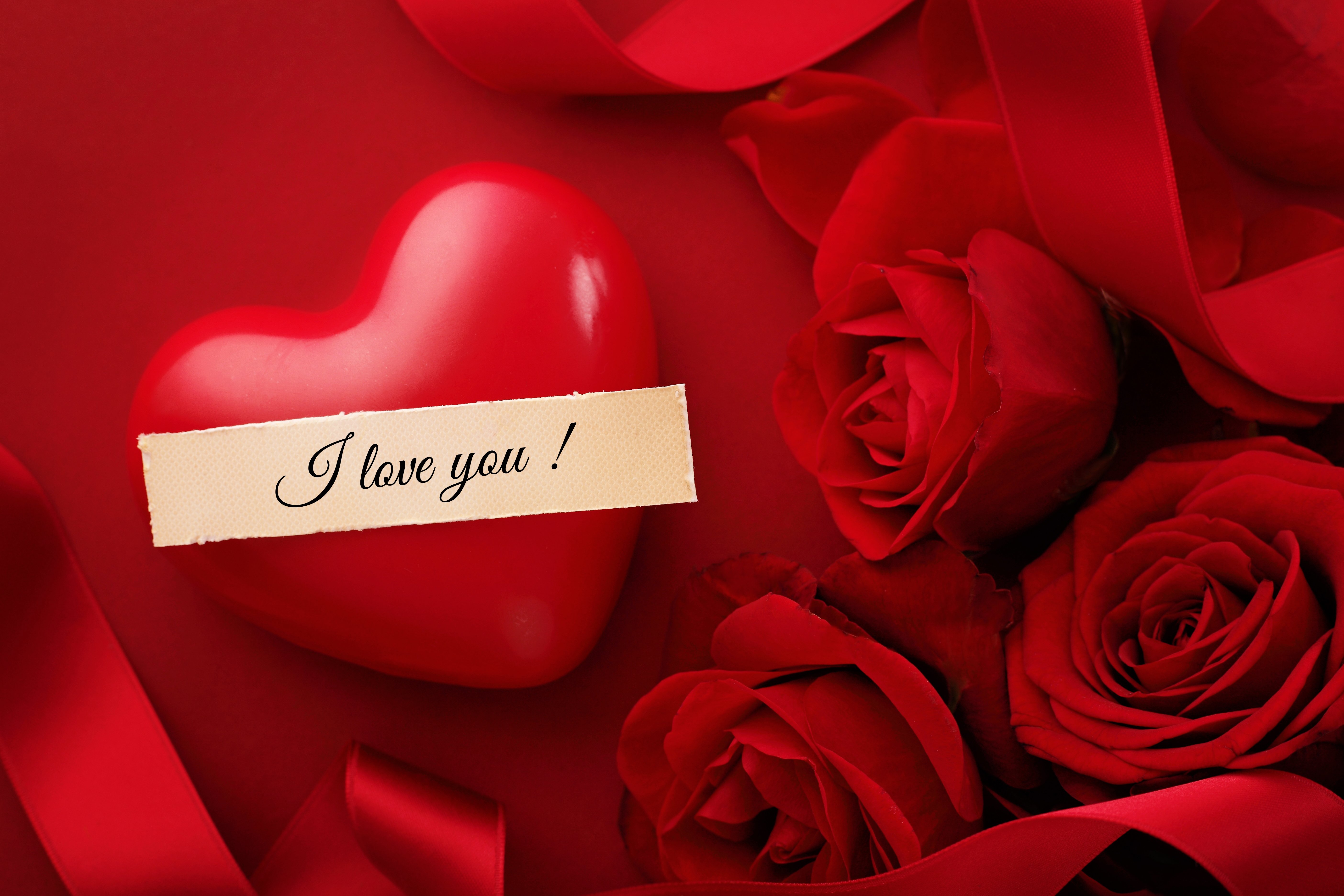 rose, With, Love, Love, Flowers, Roses, Valentines, Day Wallpaper